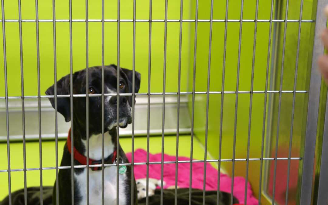 When We Know Better, We Do Better